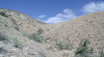 Scenic Duchesne County Utah -  160  acres - Dinosaur Fossil area???