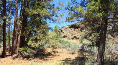 Southerly facing with Unique Rock Formations and trees
