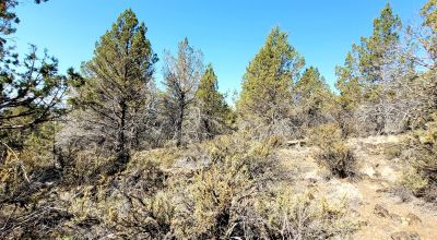 Sprague River Valley Views * Trees * Mobiles, modulars, site-builds ok