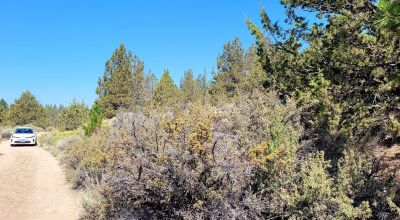 Sprague River Valley Views * Trees * Mobiles, modulars, site-builds ok