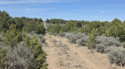 Taos County - Tres Piedras New Mexico 1 acre CAMP, RV, BUILD