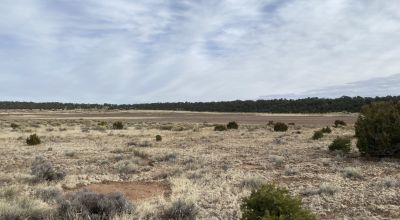 Rare! Bureau of Indian Affairs Inholding 40 acres - New Mexico