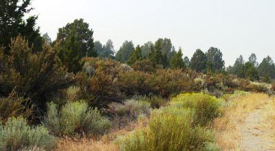 Sprague River Valley - Views - Power - Paved Road Access - Oregon land