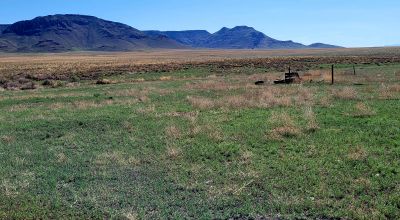 30 acres East of Manassa Colorado - No restrictions