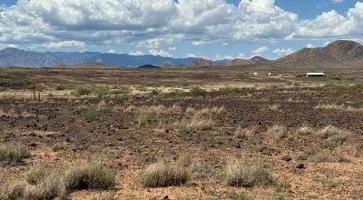 Nearly Four Acres Just North of State HWY 9 West of Animas - Secluded