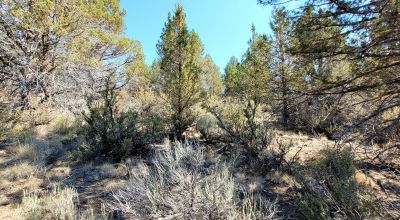 Sprague River Valley Views * Trees * Mobiles, modulars, site-builds ok