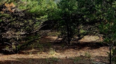 South Fork Colorado - Alpine Village Residential Lot