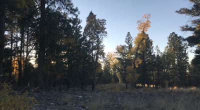 1 Acre Buildable lot in the gated Zapata Subdivision