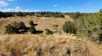 Treed Parcel - Arroyo at Back Property Line - Views - Near 2 Lakes