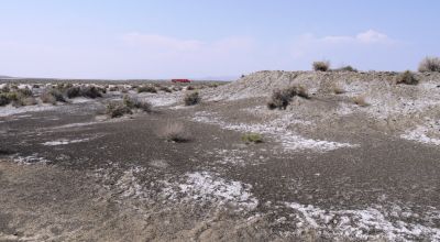 Classic Nevada Desert - Just off Hwy 95
