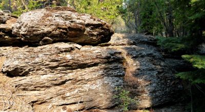 3 adjoining Lots - Trees Trees Trees - Quiet and Seclusion