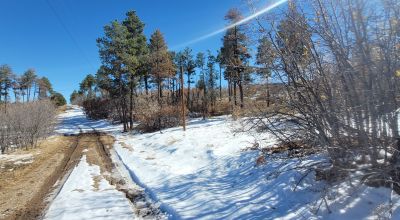 Sherwood Forest 1 acre near Torreon New Mexico - Base of the Manzano Mountains