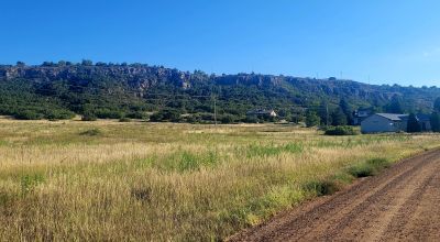 Almost 2 acres in Colorado City Colorado - Trees - Westerly Views