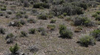 Crescent Valley just South of town * Mobiles & Modulars allowed