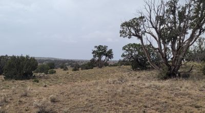 30 acre Central New Mexico Property Windmill Ranch Excellent Roads. Power at Road