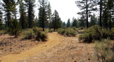 Southern Oregon Sprague River - Trees - Power - Main Road Access