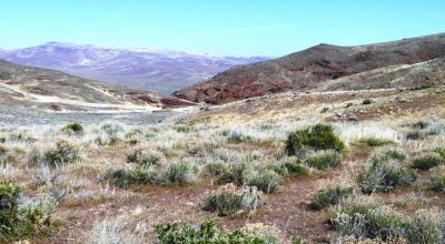 80 acres of Rolling Hills  only $49,000