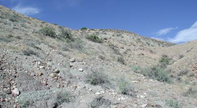 Scenic Duchesne County Utah -  160  acres - Dinosaur Fossil area???