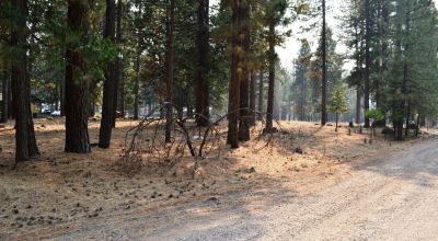Keno Oregon Heavily Wooded Building Lot - Over One Acre - Power