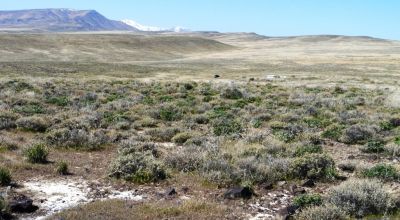 80 acres of Rolling Hills  only $49,000