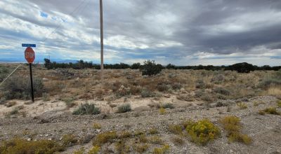 20 acres Scenic New Mexico Huge Southerly Views with Power at the Road