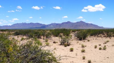5 acres south of Deming New Mexico. Classic Desert land. Camp RV Build