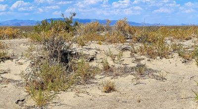 1 Full Section of  Nevada Desert & SAND HILLS  *  1 mile by 1 mile *