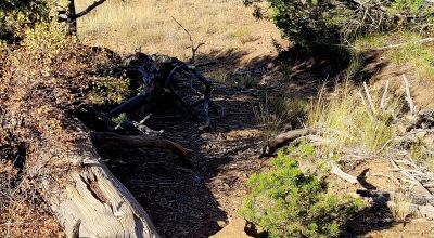 Treed Parcel - Arroyo at Back Property Line - Views - Near 2 Lakes