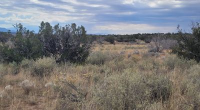 20 acres Scenic New Mexico Huge Southerly Views with Power at the Road