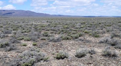 Crescent Valley just South of town * Mobiles & Modulars allowed