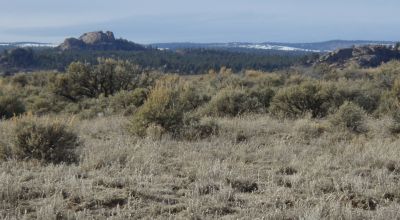 Taos County New Mexico 1/4 acre - off grid - Mobiles RV Earthships allowed