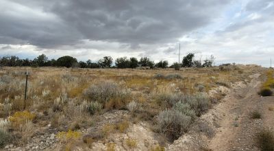 20 acres Scenic New Mexico Huge Southerly Views with Power at the Road