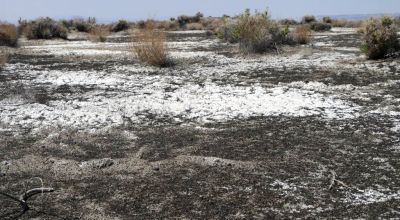 Classic Nevada Desert - Just off Hwy 95