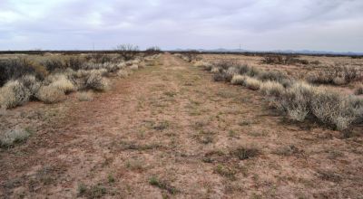 2 acre Parcels - East side of the Florida Mountains - 3 available