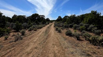 4 adjoining Lots - buy 2 or all 4 - Corner - Some Trees Scenic Views - West of Taos