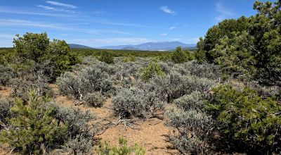 4 adjoining Lots - buy 2 or all 4 - Corner - Some Trees Scenic Views - West of Taos