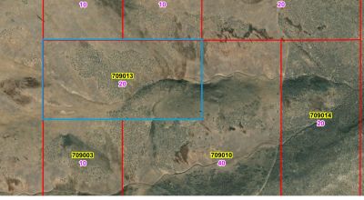 20 acres of Nevada Mountain Land - Shoshone Range - Crescent Valley Area
