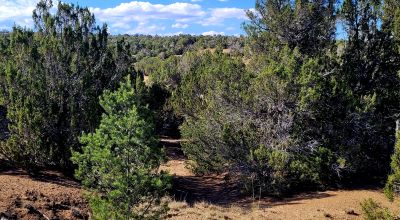 Treed Parcel - Arroyo at Back Property Line - Views - Near 2 Lakes