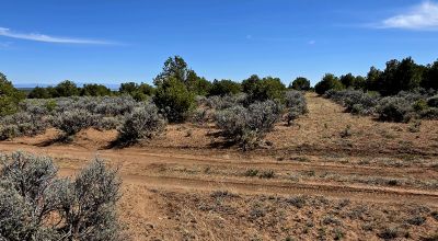 4 adjoining Lots - buy 2 or all 4 - Corner - Some Trees Scenic Views - West of Taos