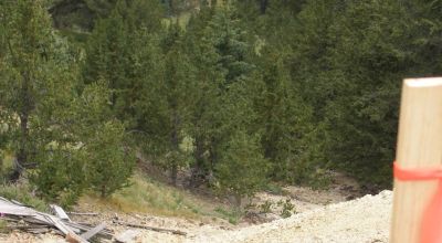 Pristine Mountain Land * Patented Mining Claim near Bonanza Colorado