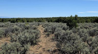 1/2 acre Taos New Mexico - Camp RV Build - Bring the Bus!!