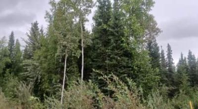 South of North Pole Alaska - Borders Hwy 2 aka Richardson Hwy