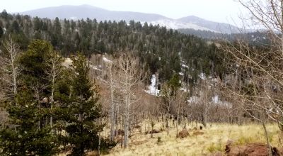 Cripple Creek Mountain Estates - Scenic Views - Residential parcel