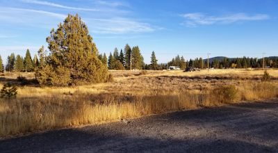 13 Town Lots in Sprague River - 7 lots together and group of 6 lots together