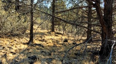 Sprague River Valley Views * Trees * Mobiles, modulars, site-builds ok