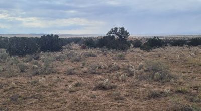 30 acre Central New Mexico Property Windmill Ranch Excellent Roads. Power at Road