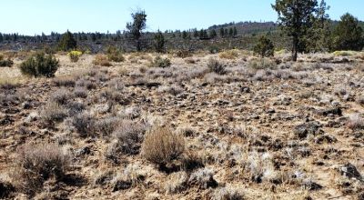 Remote Oregon wilderness. On Mesa near the Rim
