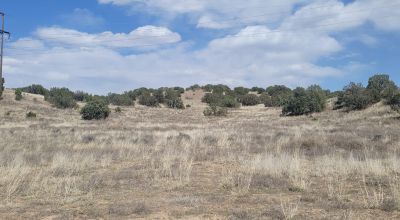 Surrounded by Santa Fe National Forest - Near Las Campanas and Golf Course - 8 Miles from Santa Fe