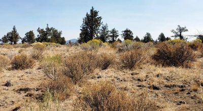 Remote Oregon wilderness. On Mesa near the Rim