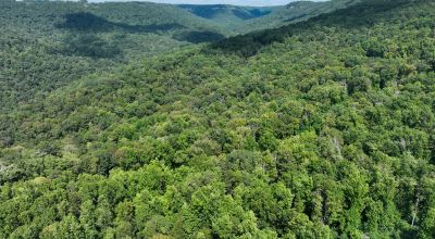 Discover Your Dream Escape in Fentress County, TN!